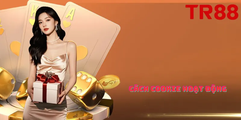 Cách chính sách cookie tại TR88 hoạt động